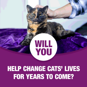 GIF about including a gift in your will to Cats Protection